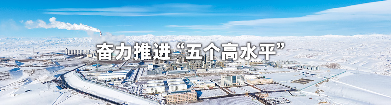金融banner